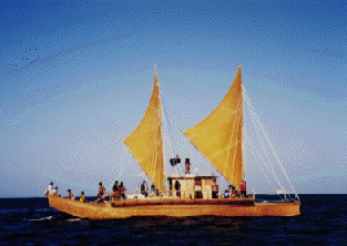 photo of rarotongan canoe te au tonga
