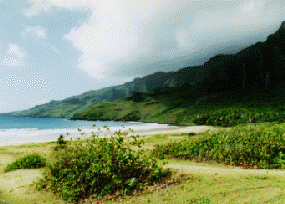 photo of The Valley of Ha'atuatua, Nukuhiva
